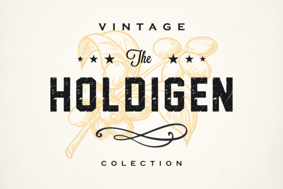 Holdigen: A Bold Display Font That Commands Attention
